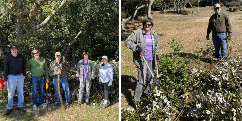 Maritime Forest Autumn Olive Removal, February 24. Lower Cape Fear Wildlife partnered with the Maritime Forest Maintenance Committee to kick-off an invasive removal project at Caswell Beach. The maritime forest is identified on the WRC’s Wildlife Action Plan as a priority habitat type. Maritime forest supports many Species of Greatest Conservation Need such as the Eastern painted bunting, white-footed mouse, oak toad, Southern dusky salamander, Northern scarlet snake, Eastern coral snake and numerous plant species.