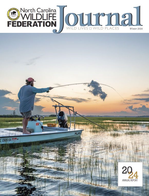 NCWF Journal Winter 2024 - Annual Report